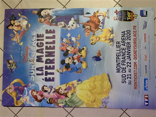 DISNEY - Personnages - Princesses - 80x120cm - Affiche État correct N/A reconditionné disponible sur Fnac