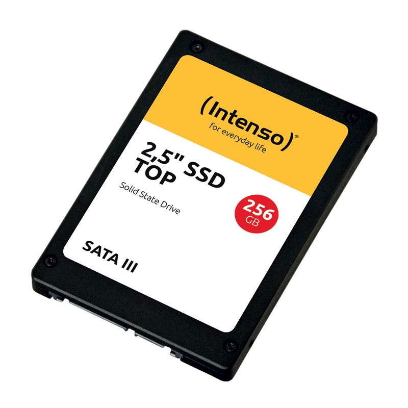 Disque Dur Ssd Interne Intenso Sata 256go Top Bon état - 49,98 € Disque Dur Ssd Interne Intenso Sata 256go Top Bon état reconditionné disponible sur Electro Depot