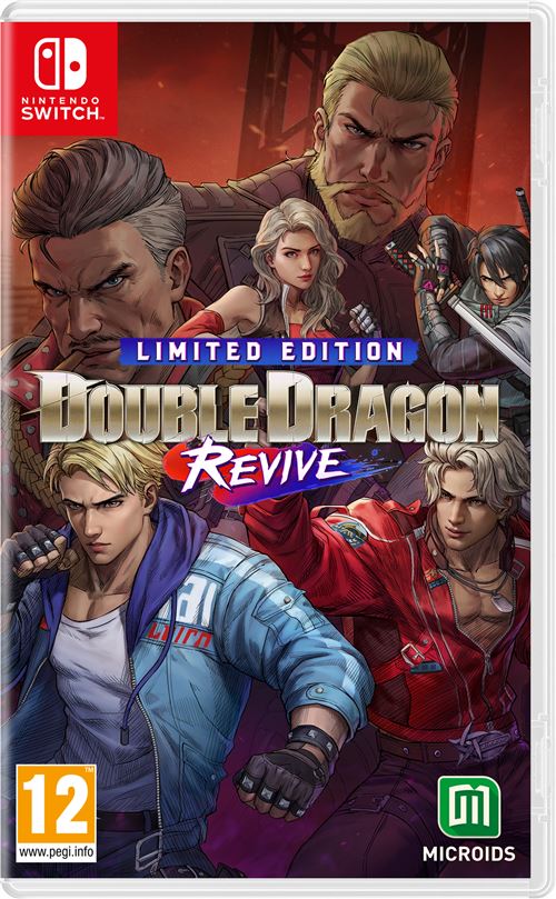 Double Dragon Revive Edition Limitée Nintendo Switch État correct Microids Distribution reconditionné disponible sur Fnac