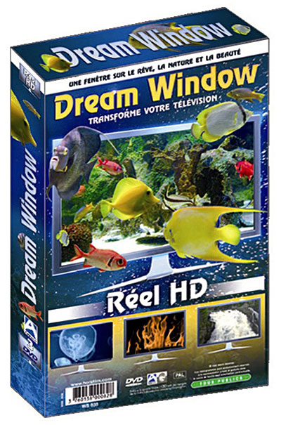 Dream Window transforme votre télévision État correct reconditionné disponible sur Fnac