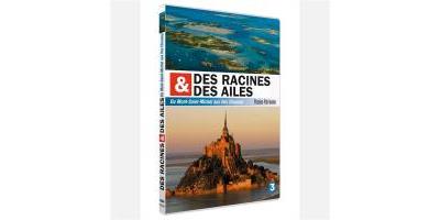 DU MONT-SAINT-MICHEL AUX ILES CHAUSEY-VF État correct - 20,98 € DU MONT-SAINT-MICHEL AUX ILES CHAUSEY-VF État correct reconditionné disponible sur Fnac