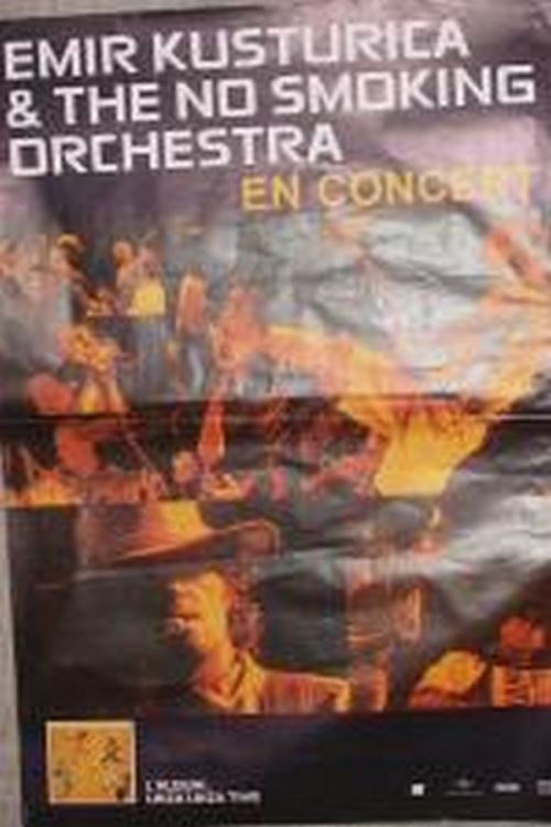 Emir Kusturica - 80x120 cm - AFFICHE / POSTER État correct N/A reconditionné disponible sur Fnac