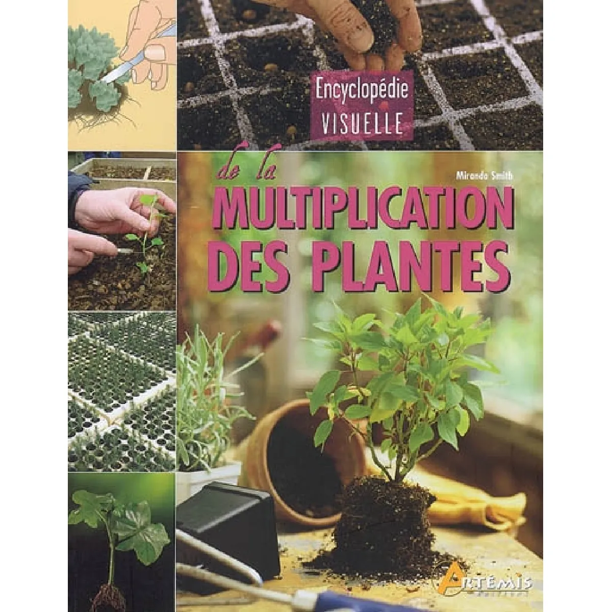Acheter Encyclopédie visuelle de la multiplication des plantes État correct - 17,00 € Encyclopédie visuelle de la multiplication des plantes État correct N/A (Il ne s'agit pas d'une marque reconditionné disponible sur Rue du Commerce Seconde Vie