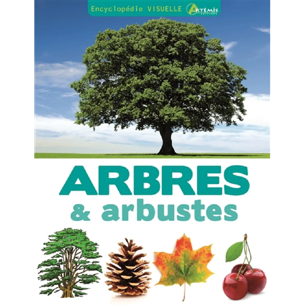 Acheter Encyclopédie visuelle des arbres et arbustes État correct - 10,36 € Encyclopédie visuelle des arbres et arbustes État correct N/A (Il ne s'agit pas d'une marque reconditionné disponible sur Rue du Commerce Seconde Vie