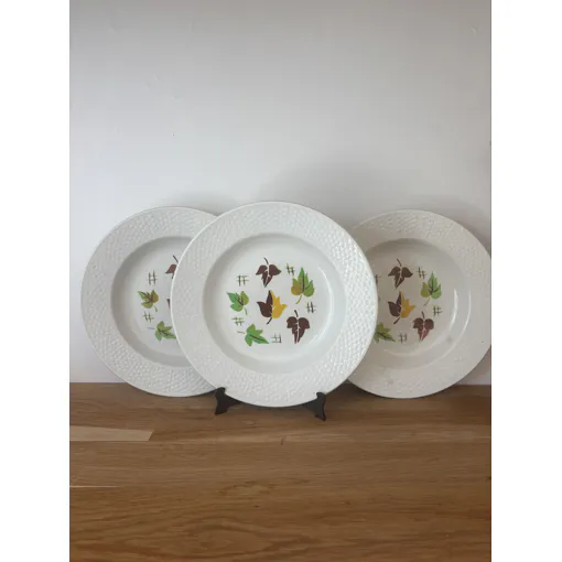 Ensemble De 3 Assiettes Creuses Digoin Rennes Bon état reconditionné disponible sur Rakuten