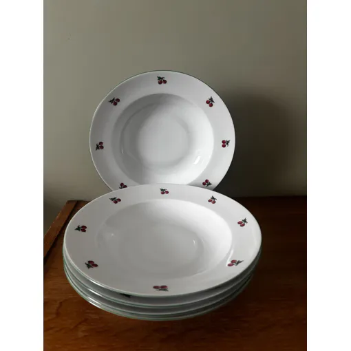Ensemble De 5 Assiettes Creuses En Porcelaine Tables &amp; Couleurs Cerises Bon état reconditionné disponible sur Rakuten