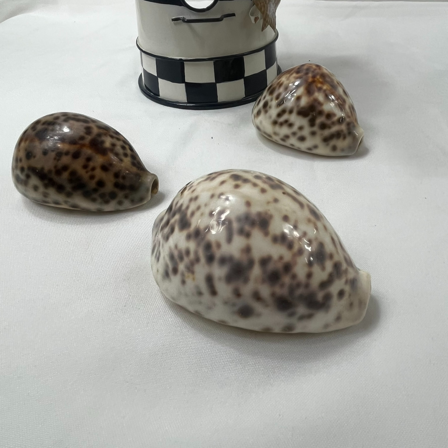 Voir photo 5 de Ensemble de décoration marine . Un photophore phare , un vase carpe et 3 coquillages Ensemble de décoration marine . Un photophore phare , un vase carpe et 3 coquillages Très bon état reconditionné photo 5