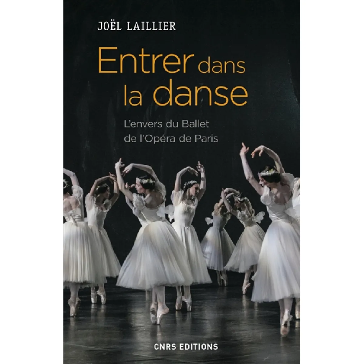 Entrer dans la danse : l'envers du Ballet de l'Opéra de Paris État correct - 10,48 € Entrer dans la danse : l'envers du Ballet de l'Opéra de Paris État correct N/A (Il ne s'agit pas d'une marque reconditionné disponible sur Rue du Commerce Seconde Vie