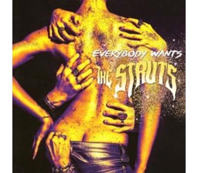 Acheter Everybody Wants État correct - 12,10 € Everybody Wants État correct reconditionné disponible sur Fnac