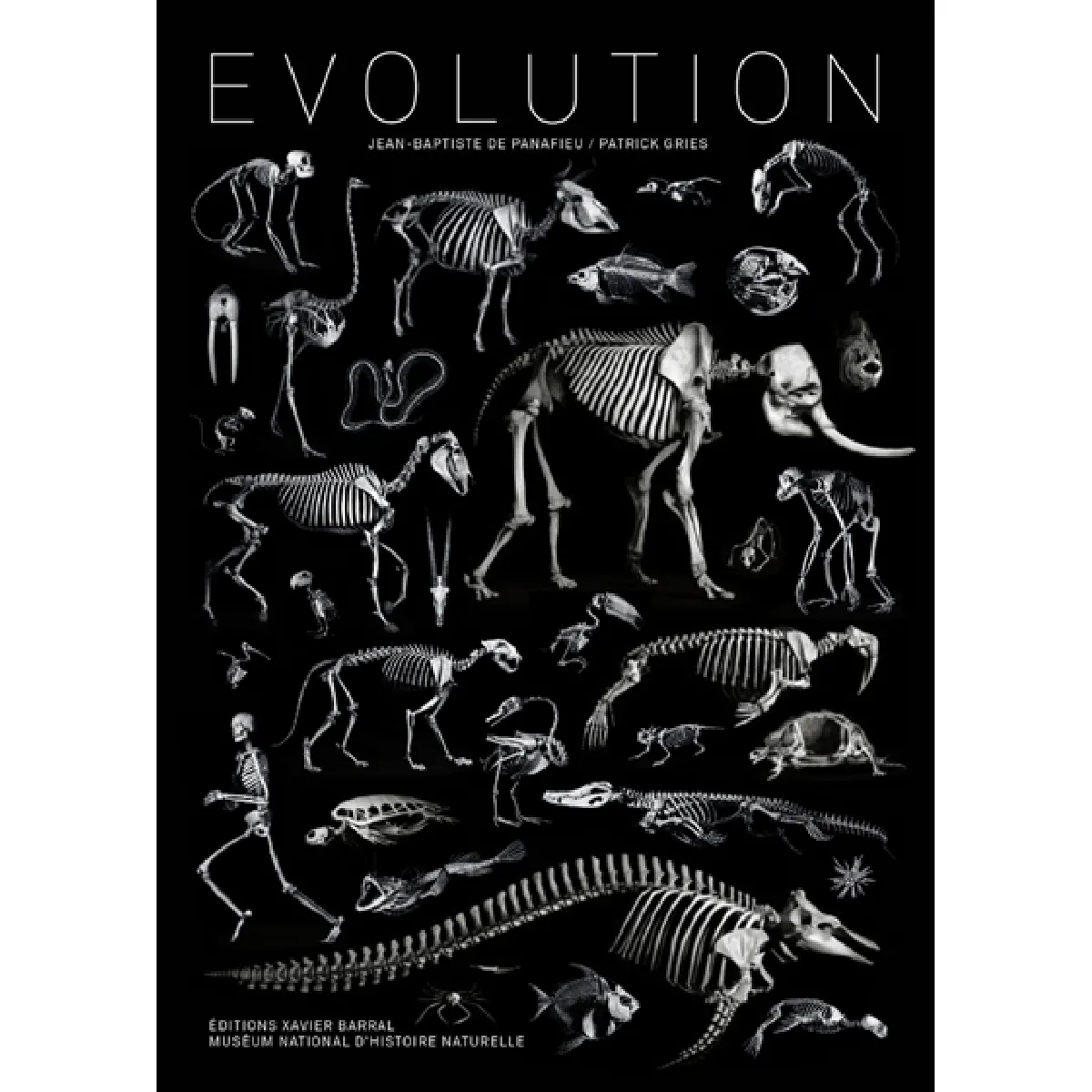 Evolution État correct - 31,29 € Evolution État correct N/A (Il ne s'agit pas d'une marque reconditionné disponible sur Rue du Commerce Seconde Vie