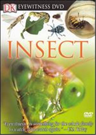 Acheter Eyewitness DVD: Insect État correct - 22,30 € | Dero Eyewitness DVD: Insect État correct reconditionné disponible sur Fnac | Dero
