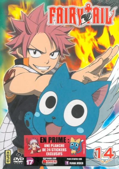 Fairy tail:vol 14 coffret 2dvd État correct reconditionné disponible sur Fnac