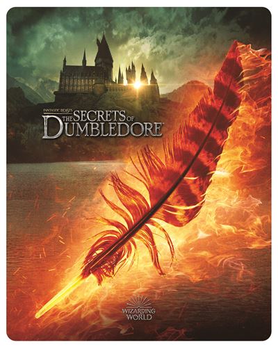 FANTASTIC BEASTS 3: SECRETS OF DUMBLEDORE-BIL-BLU 4K STLBK État correct - 42,50 € FANTASTIC BEASTS 3: SECRETS OF DUMBLEDORE-BIL-BLU 4K STLBK État correct reconditionné disponible sur Fnac