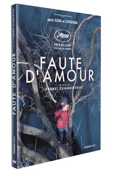 Faute d'amour DVD État correct reconditionné disponible sur Fnac