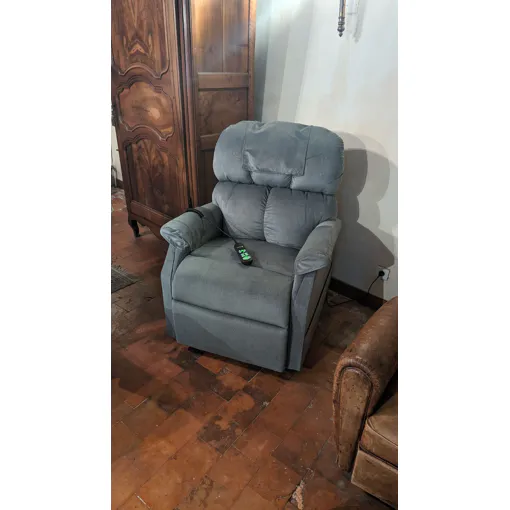 Fauteuil Releveur 2 Moteurs occasion reconditionné disponible sur Rakuten