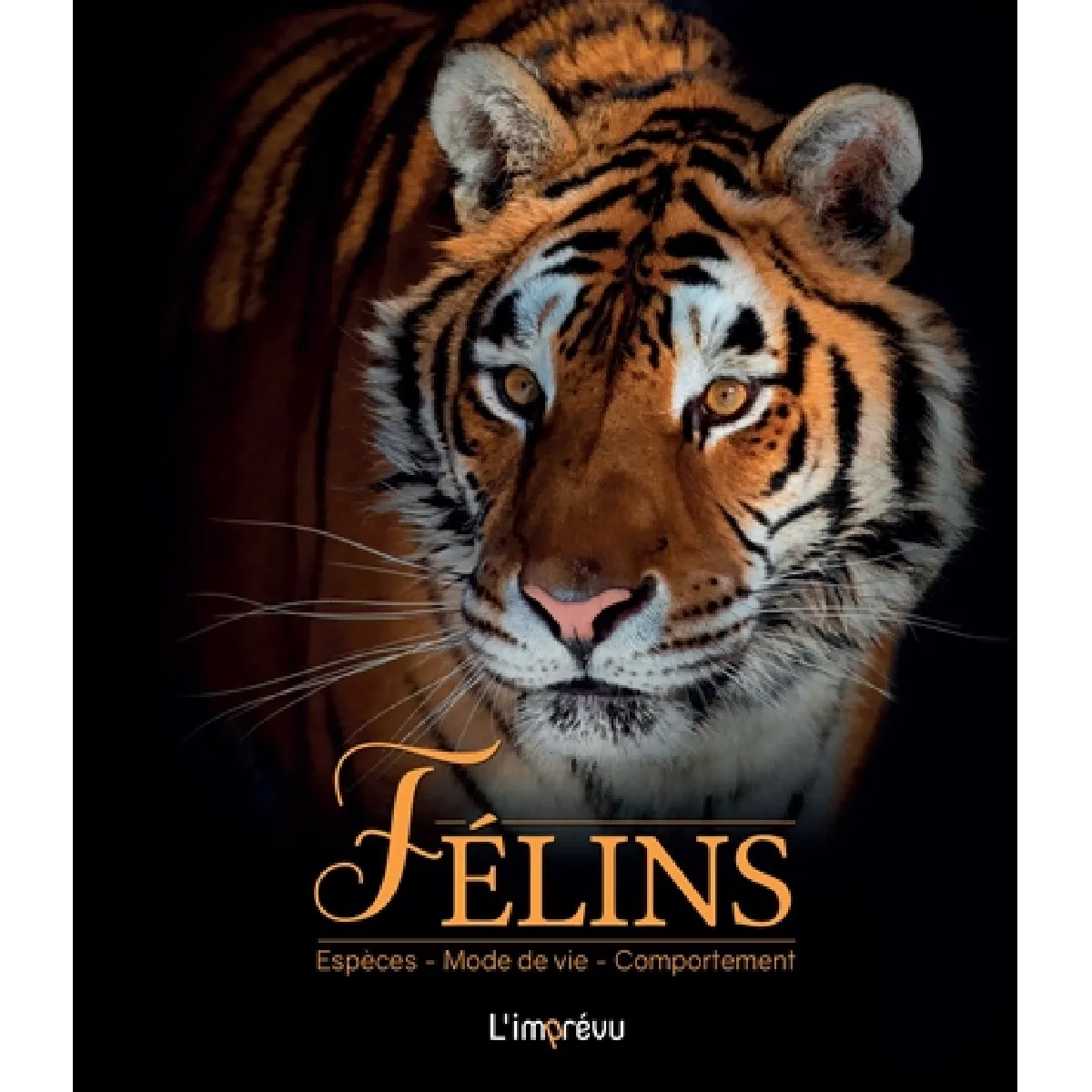 Félins : espèces, mode de vie, comportement État correct - 55,80 € Félins : espèces, mode de vie, comportement État correct N/A (Il ne s'agit pas d'une marque reconditionné disponible sur Rue du Commerce Seconde Vie
