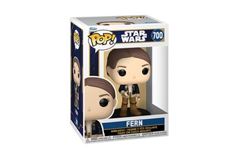 Acheter Figurine Pop Star Wars Skeleton Crew Fern Très bon état - 14,95 € Figurine Pop Star Wars Skeleton Crew Fern Très bon état reconditionné disponible sur Darty