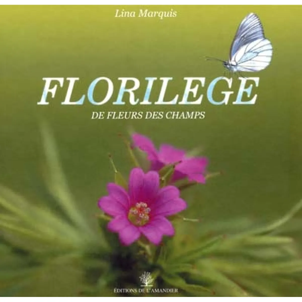 Acheter Florilège : de fleurs des champs. Vol. 1 État correct - 20,00 € Florilège : de fleurs des champs. Vol. 1 État correct N/A (Il ne s'agit pas d'une marque reconditionné disponible sur Rue du Commerce Seconde Vie