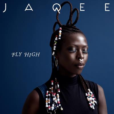Fly High État correct reconditionné disponible sur Fnac