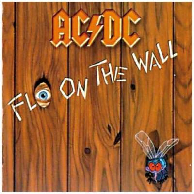 Fly On The Wall État correct reconditionné disponible sur Fnac | Dero