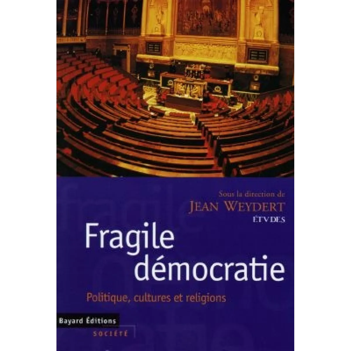 Acheter Fragile démocratie : politique, cultures et religions État correct - 21,00 € Fragile démocratie : politique, cultures et religions État correct N/A (Il ne s'agit pas d'une marque reconditionné disponible sur Rue du Commerce Seconde Vie