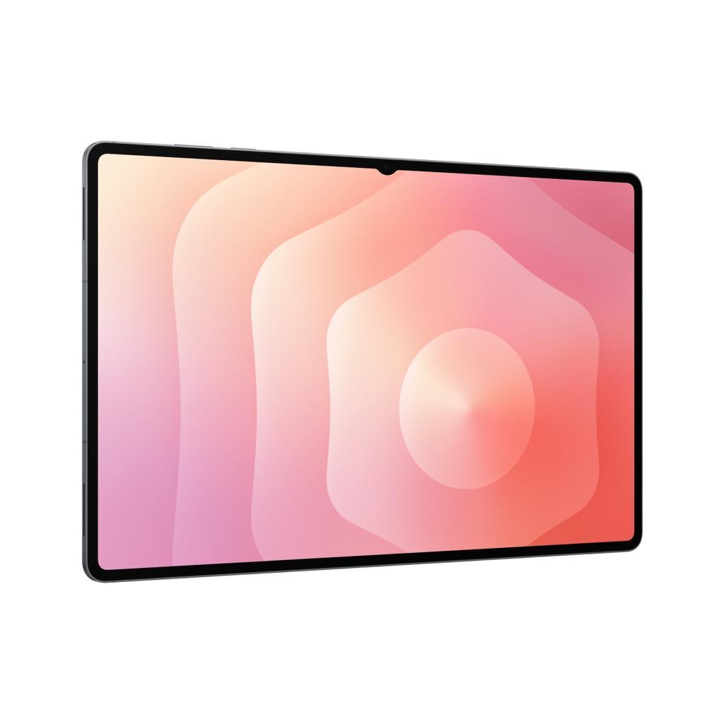 Voir photo 2 de Galaxy Tab S11 Ultra 1000GB - Gris - WiFi + 5G | Dero Galaxy Tab S11 Ultra 1000GB - Gris - WiFi + 5G Reconditionné Samsung reconditionné photo 2 | Dero
