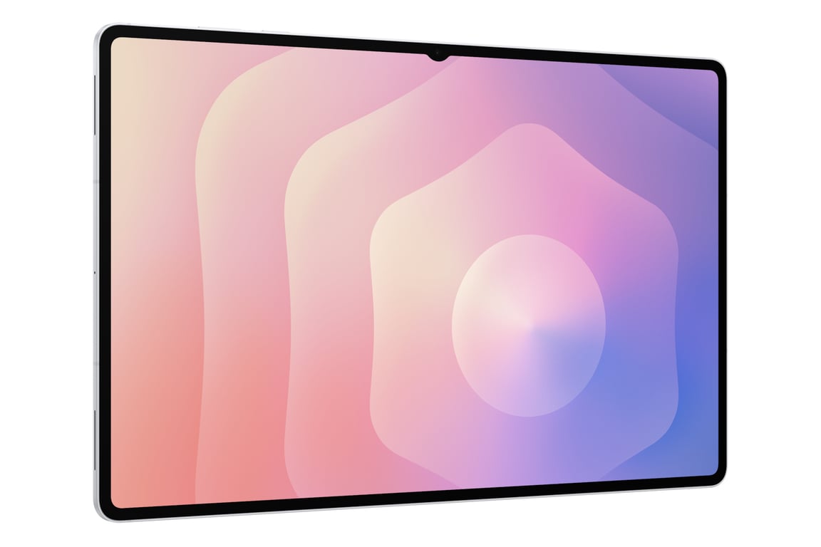 Galaxy Tab S11 Ultra (14,6 ) 5G 12 Go 256 Go, Argent - Excellent état Parfait état Samsung reconditionné photo 3 | Dero