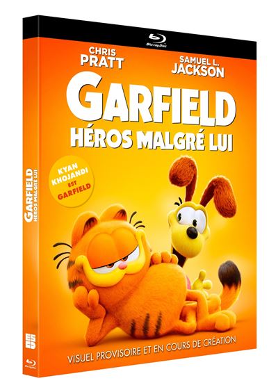 Acheter Garfield : Héros malgré lui Blu-ray État correct - 12,34 € Garfield : Héros malgré lui Blu-ray État correct reconditionné disponible sur Fnac