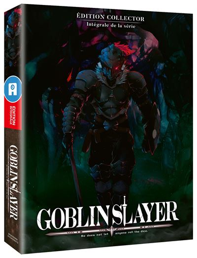 Goblin Slayer Intégrale de la Saison 1 Edition Collector État correct reconditionné disponible sur Fnac | Dero