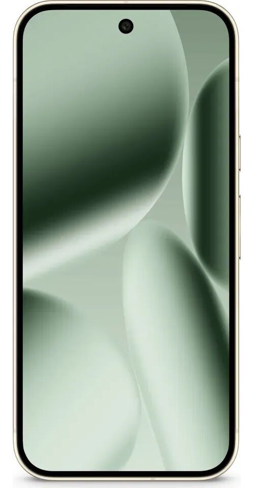 Google Pixel 10 Pro 256 GB Dual-SIM Jade Parfait état Google reconditionné disponible sur Refurbed | Dero