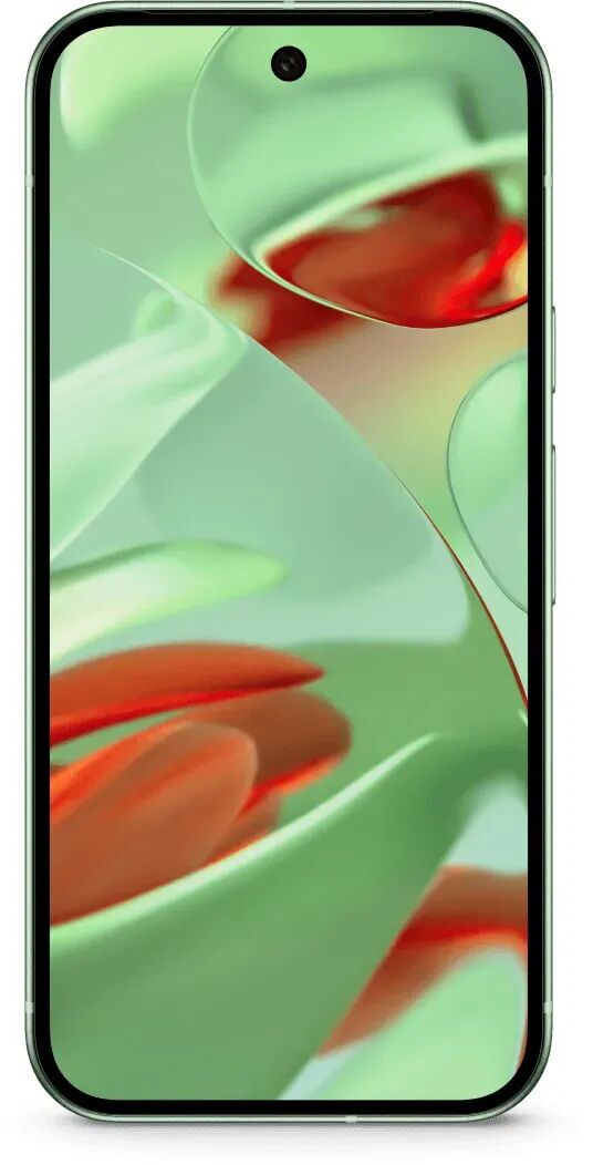 Google Pixel 9 256 GB Dual-SIM Vert d'Hiver Parfait état Google reconditionné disponible sur Refurbed | Dero