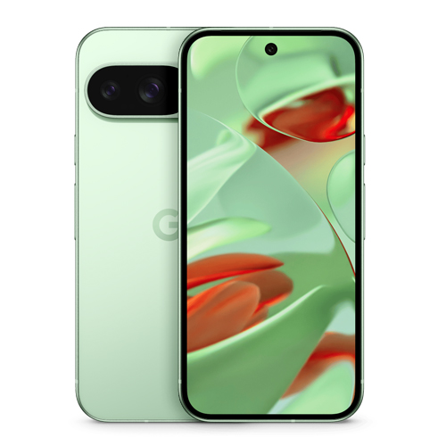 Google Pixel 9 256 Go vert reconditionné Reconditionné Google reconditionné disponible sur Recommerce