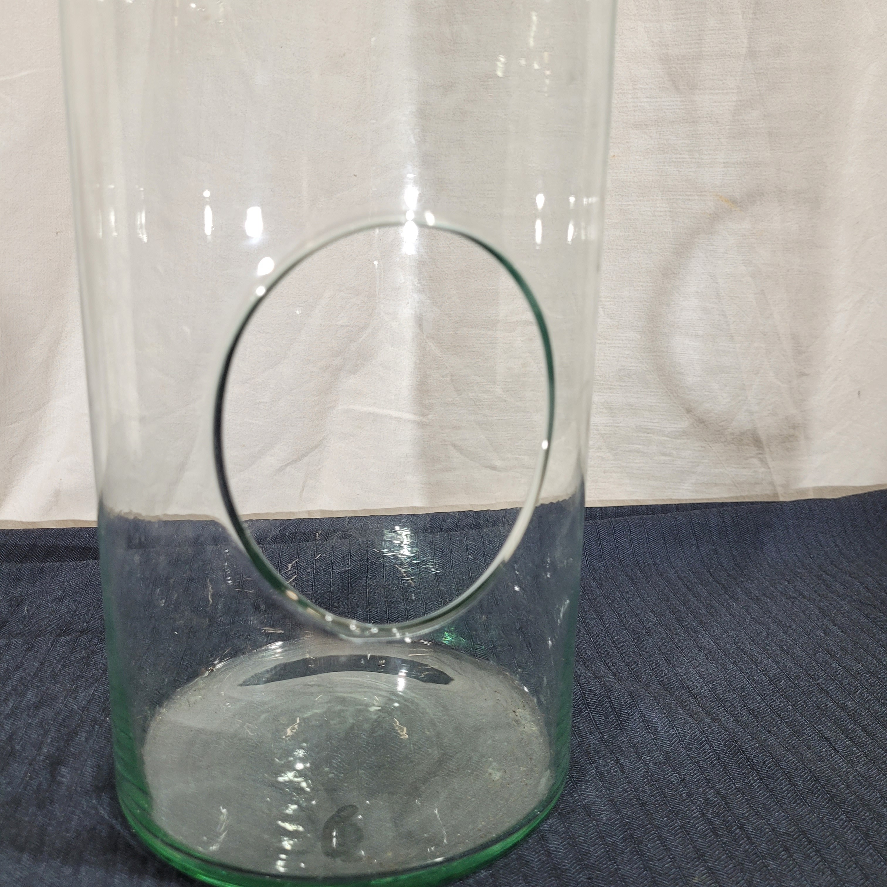 Voir photo 3 de Grand terrarium bouteille en verre recyclé Grand terrarium bouteille en verre recyclé Très bon état reconditionné photo 3