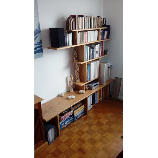 Grande bibliothèque design en chêne et orme massif ¿ démontable Bon état - 370,00 € Grande bibliothèque design en chêne et orme massif ¿ démontable Bon état reconditionné disponible sur Rakuten