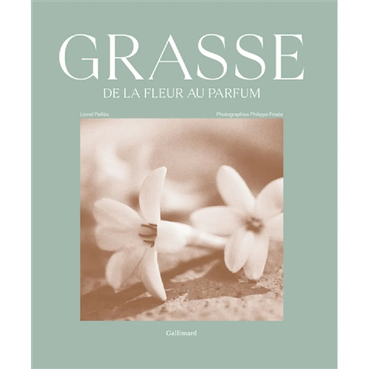 Acheter Grasse, de la fleur au parfum État correct - 27,56 € Grasse, de la fleur au parfum État correct N/A (Il ne s'agit pas d'une marque reconditionné disponible sur Rue du Commerce Seconde Vie