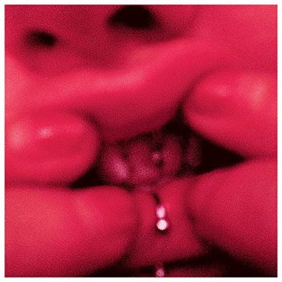 Guilty Species État correct reconditionné disponible sur Fnac | Dero