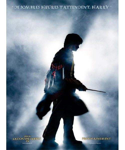 Harry Potter Et La Coupe De Feu AFFICHE CINEMA ORIGINALE État correct N/A reconditionné disponible sur Fnac