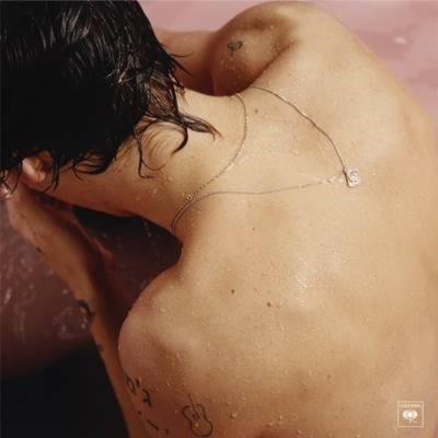 Acheter Harry Styles État correct - 27,66 € Harry Styles État correct reconditionné disponible sur Fnac