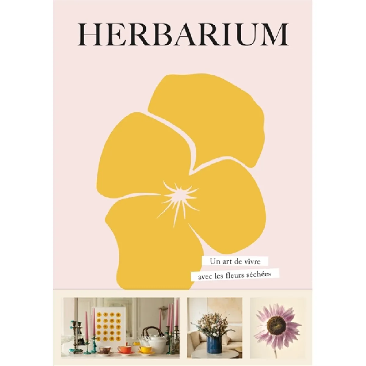 Acheter Herbarium : un art de vivre avec les fleurs séchées État correct - 10,48 € Herbarium : un art de vivre avec les fleurs séchées État correct N/A (Il ne s'agit pas d'une marque reconditionné disponible sur Rue du Commerce Seconde Vie