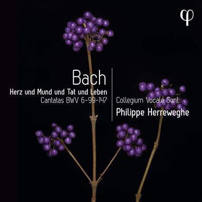 Herz Und Mund Und Tat Und Leben État correct reconditionné disponible sur Fnac | Dero