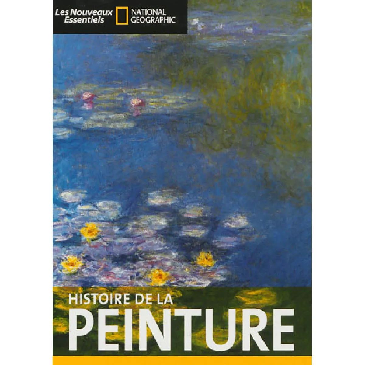 Acheter Histoire de la peinture État correct - 11,23 € Histoire de la peinture État correct N/A (Il ne s'agit pas d'une marque reconditionné disponible sur Rue du Commerce Seconde Vie