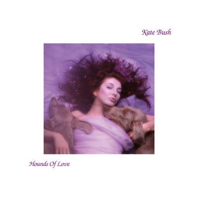 Hounds Of Love État correct reconditionné disponible sur Fnac