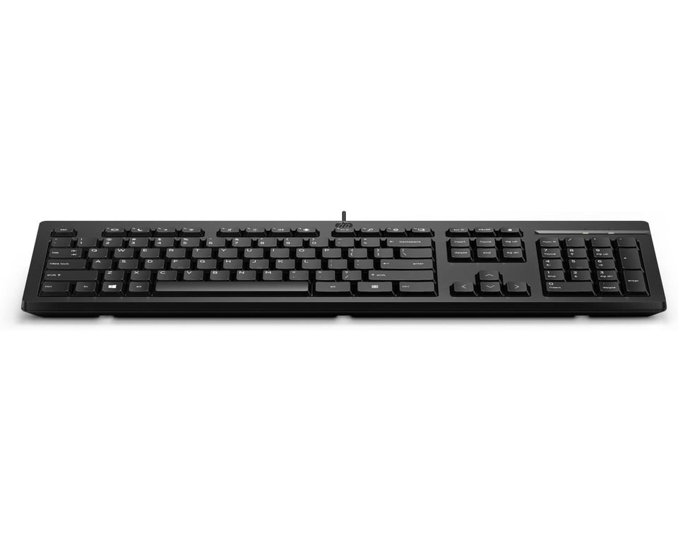 HP 125 Wired Keyboard clavier USB Noir - Très bon état Très bon état Hewlett-Packard reconditionné disponible sur Pixmania