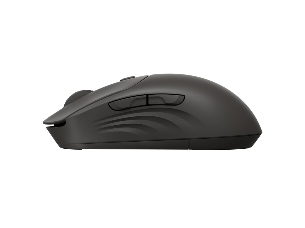 HP 405 Quiet BLK Wireless Mouse EMEA INTL Euro plug (EN) - Excellent état Parfait état Hewlett-Packard reconditionné disponible sur Pixmania