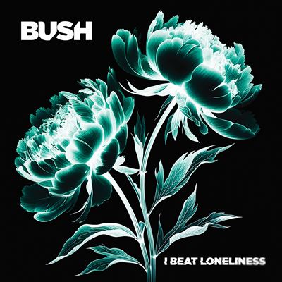 I Beat Loneliness État correct reconditionné (offre indisponible) | Dero