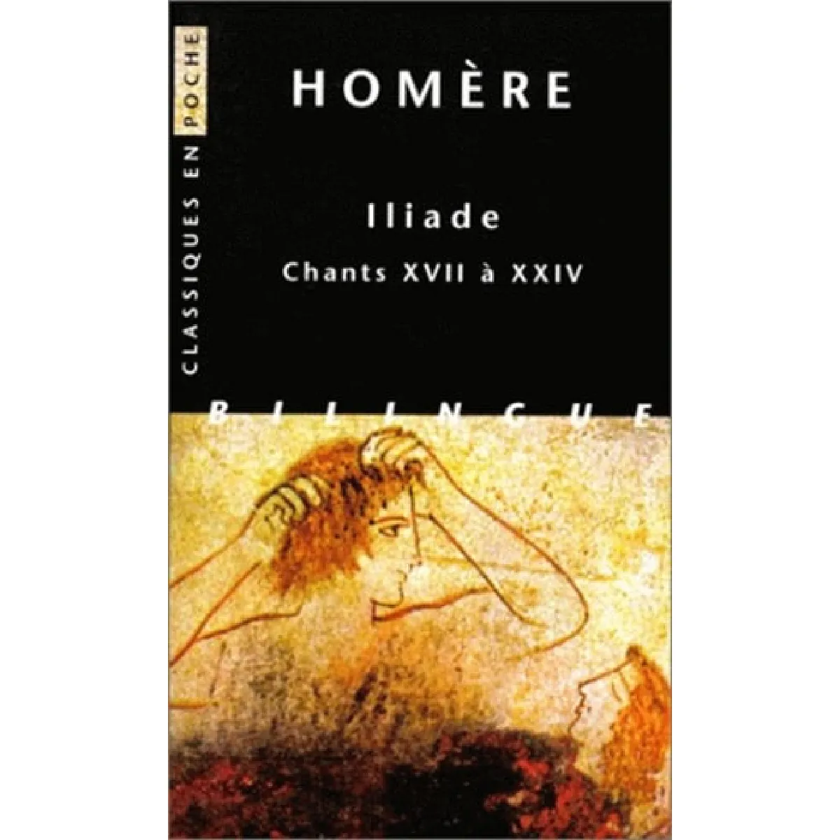 Acheter Iliade. Vol. 3. Chants XVII à XXIV État correct - 12,39 € Iliade. Vol. 3. Chants XVII à XXIV État correct N/A (Il ne s'agit pas d'une marque reconditionné disponible sur Rue du Commerce Seconde Vie