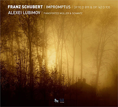 Impromptus d 899 et 935 État correct reconditionné disponible sur Fnac