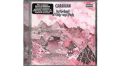 In the land of grey and pink - Inclus 5 titres bonus État correct reconditionné disponible sur Fnac | Dero