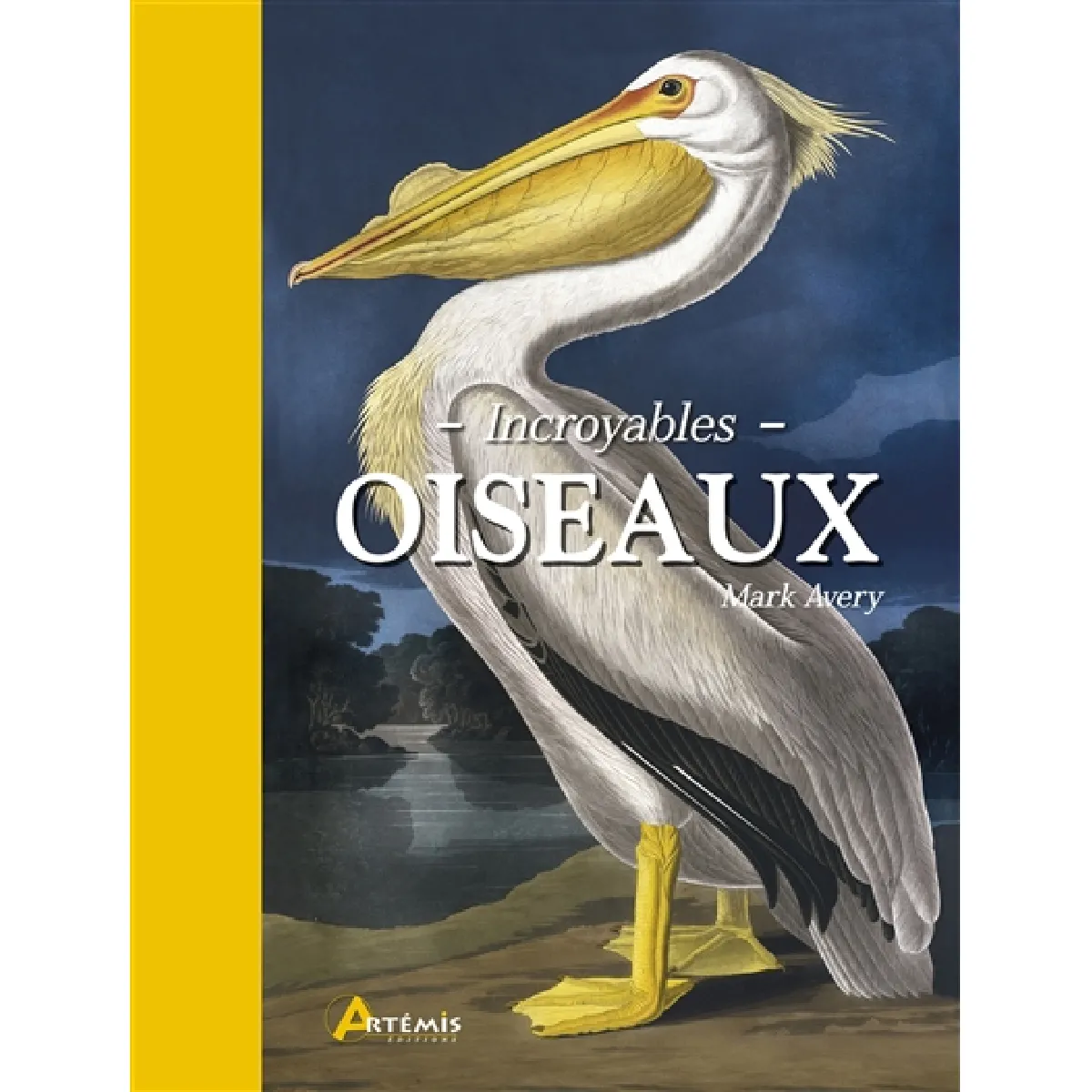 Acheter Incroyables oiseaux État correct - 12,47 € Incroyables oiseaux État correct N/A (Il ne s'agit pas d'une marque reconditionné disponible sur Rue du Commerce Seconde Vie