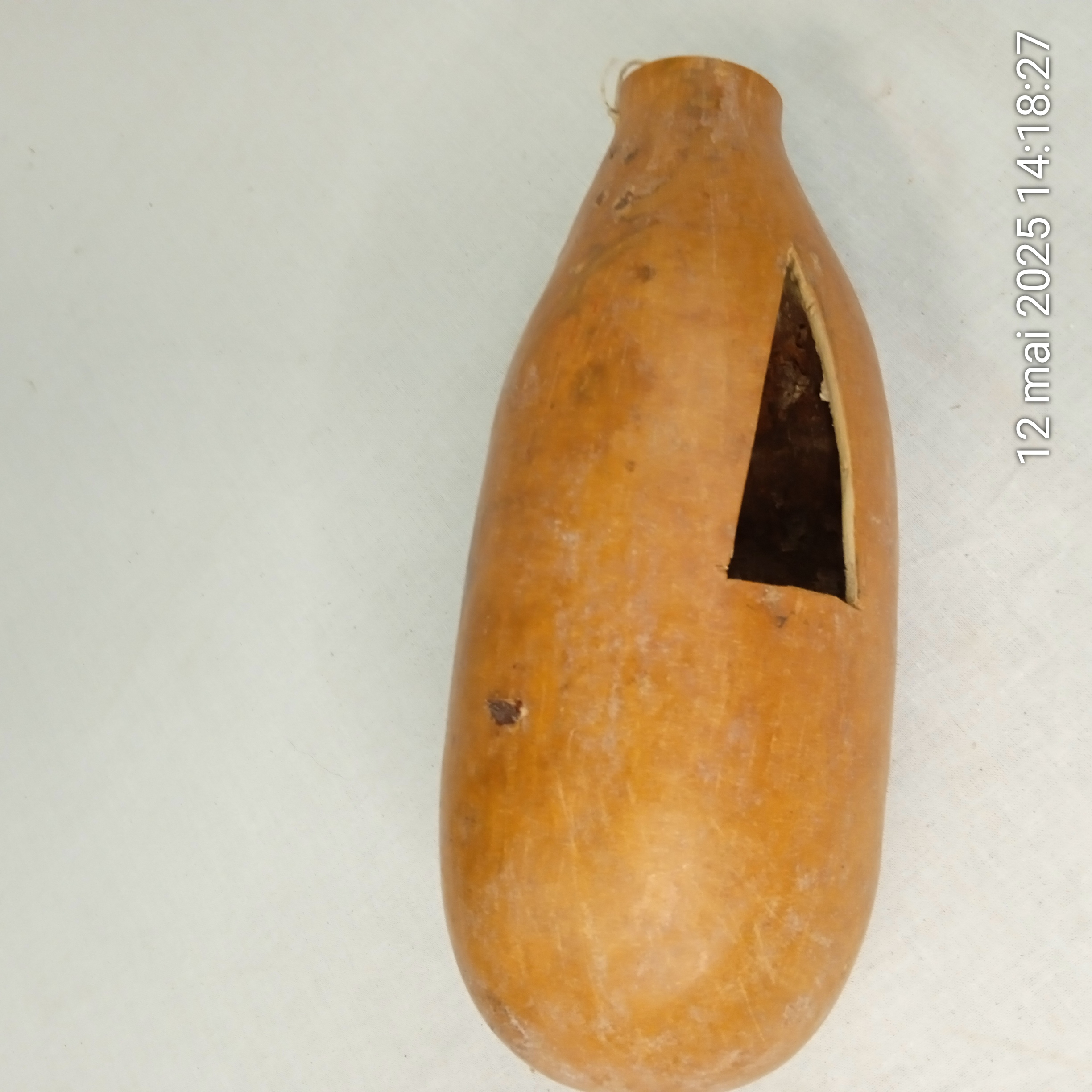 Voir photo 2 de Instrument de musique à percussion Gourd Guiro cubain d'Afrique Instrument de musique à percussion Gourd Guiro cubain d'Afrique Bon état reconditionné photo 2